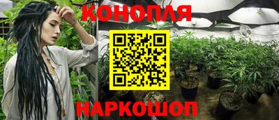 ГАЛЛЮЦИНОГЕННЫЕ ГРИБЫ Ипатово