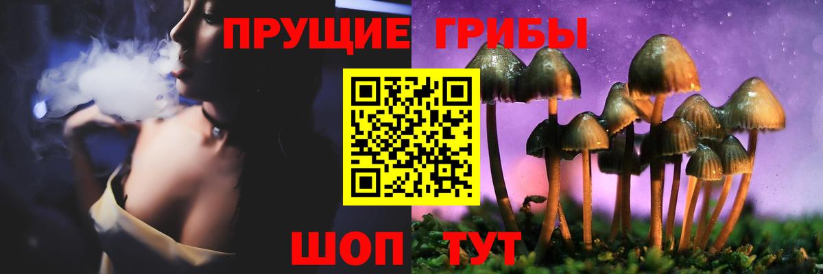 Псилоцибиновые грибы Psilocybe  Вход с VPN  где продают наркотики  Псилоцибиновые грибы Magic Shrooms  Комсомольск-на-Амуре 
